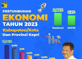 Tertinggi di Kepri, Pertumbuhan Ekonomi Batam Capai 7,04 Persen