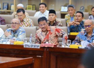 Kepala BP Batam Paparkan Kinerja Terkait Anggaran dalam RDP bersama Komisi VI DPR RI