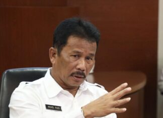 Kepala BP Batam Optimistis Pertumbuhan Nilai Investasi Dukung Peningkatan Ekonomi Daerah