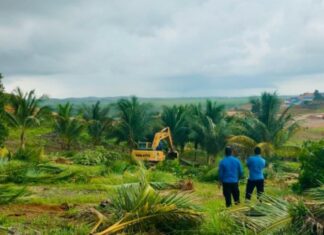 BP Batam Tegaskan Penertiban Lahan di Tanjung Banon Sesuai Prosedur Hukum
