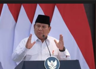 Presiden Prabowo Beri Kewenangan BP Batam Melepaskan Kawasan Hutan