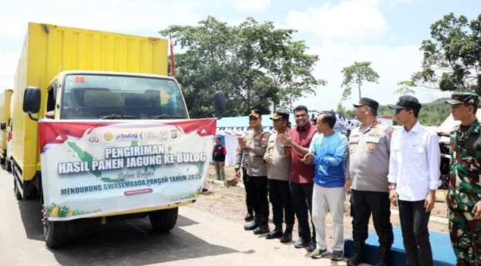 Komitmen Pemko Batam Wujudkan Swasembada Pangan Lewat Penanaman Jagung Serentak di Galang
