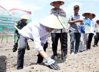 Pemko Batam Dukung Swasembada Pangan Nasional