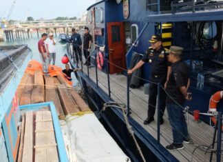 BRAVO,,Bea Cukai Batam Amankan 1.250 Balok Kayu Ilegal di Perairan Pulau Hangop