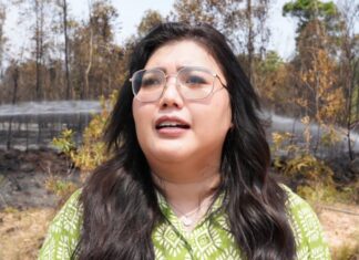 Tinjau Kebakaran Hutan, Ariastuty Imbau Masyarakat Waspadai Setiap Tindakan