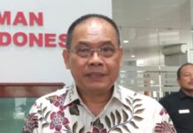 BP Batam Catat Realisasi Investasi Asing di Pulau Rempang Mundur dari Target Gegara Konflik