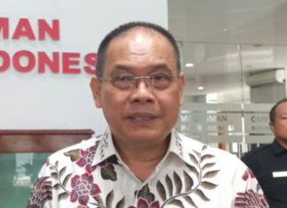 BP Batam Catat Realisasi Investasi Asing di Pulau Rempang Mundur dari Target Gegara Konflik