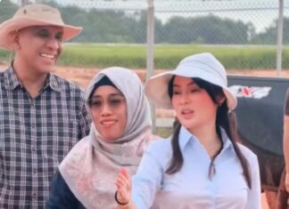 Li Claudia Tinjau Bekas Tambang Pasir Ilegal, BP Batam Ratakan Lubang dan Tanam Pohon