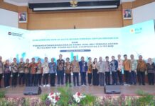 Swedia Perkuat Pasokan Listrik untuk Investasi Strategis di Batam