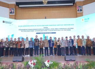 Swedia Perkuat Pasokan Listrik untuk Investasi Strategis di Batam