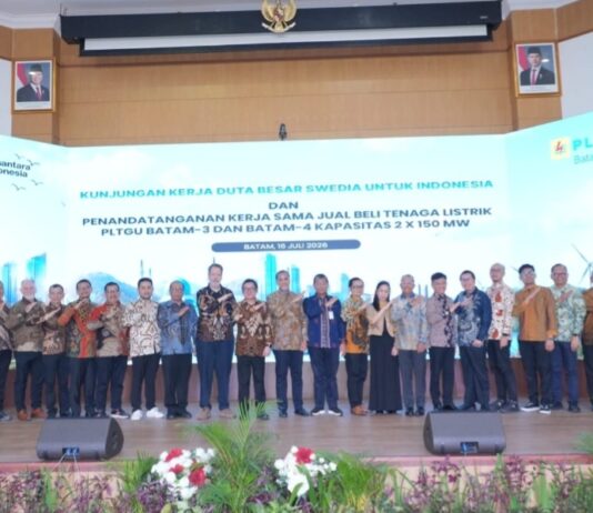 Swedia Perkuat Pasokan Listrik untuk Investasi Strategis di Batam
