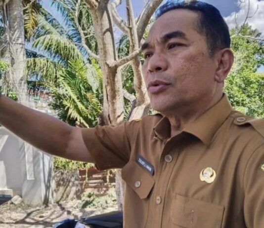 Dinsos Hadirkan Layanan Perlinsos Digital, Cek Bansos Bisa Lewat HP