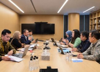BP Batam Bidik Lebih Banyak Investor Jepang, Ini Strateginya