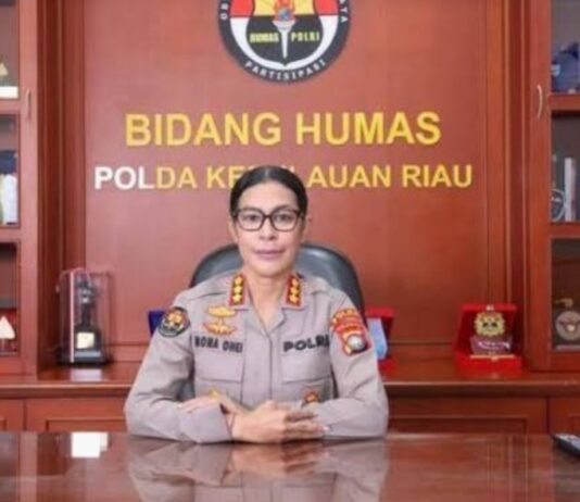 Dirreskrimsus Polda Kepri Diperiksa Divpropam Mabes Polri