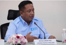 Wiraraja Geseip Perkuat Industri Batam, Investor AS Bidik Semikonduktor dan Baterai Sodium-Ion